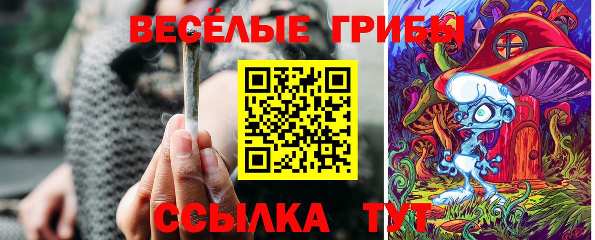 Кондопога  Галлюциногенные грибы Psilocybine cubensis  Вход с VPN  Псилоцибиновые грибы мицелий 